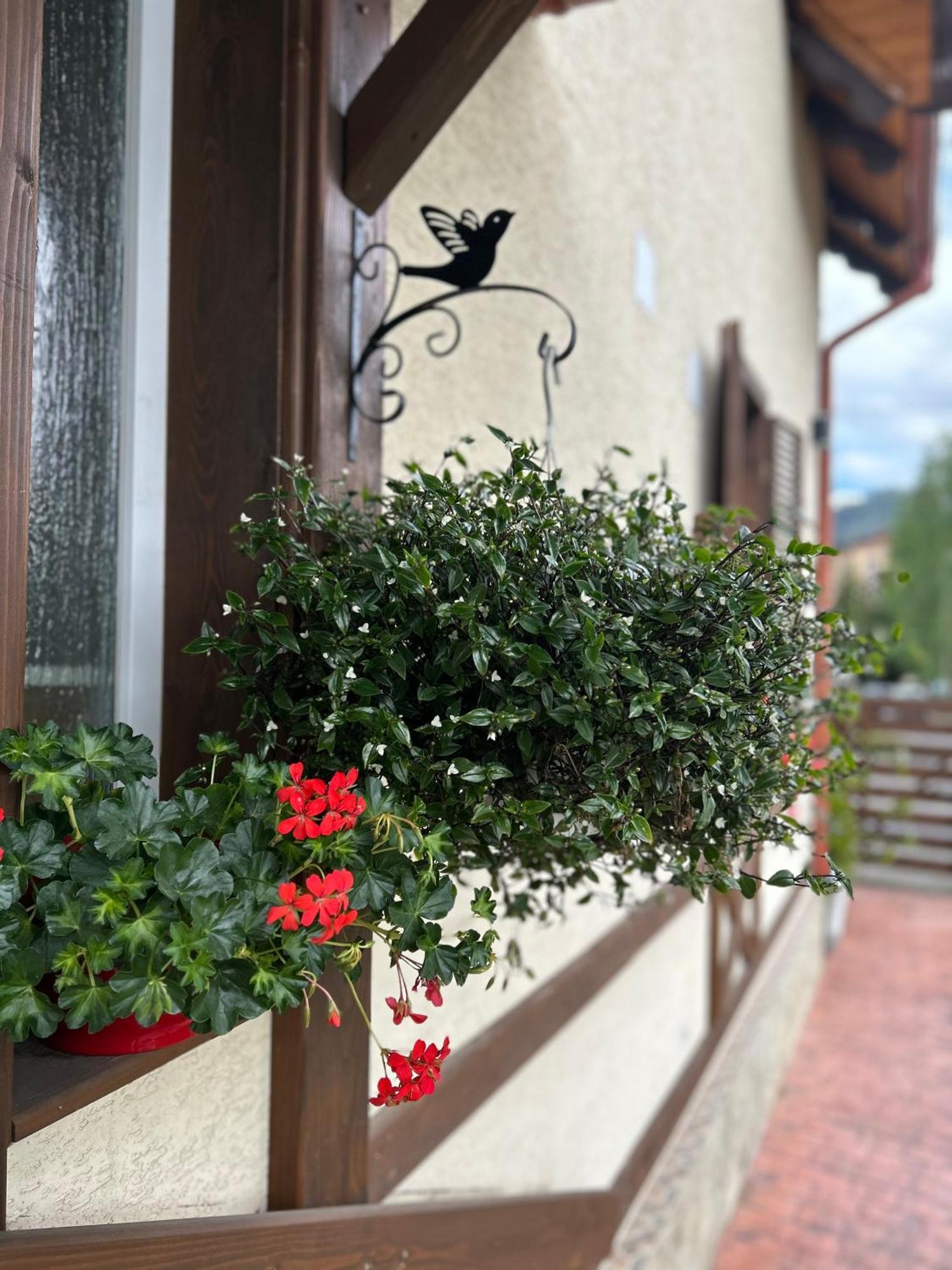 Residence Rooms Bucovina Câmpulung Moldovenesc Eksteriør bilde