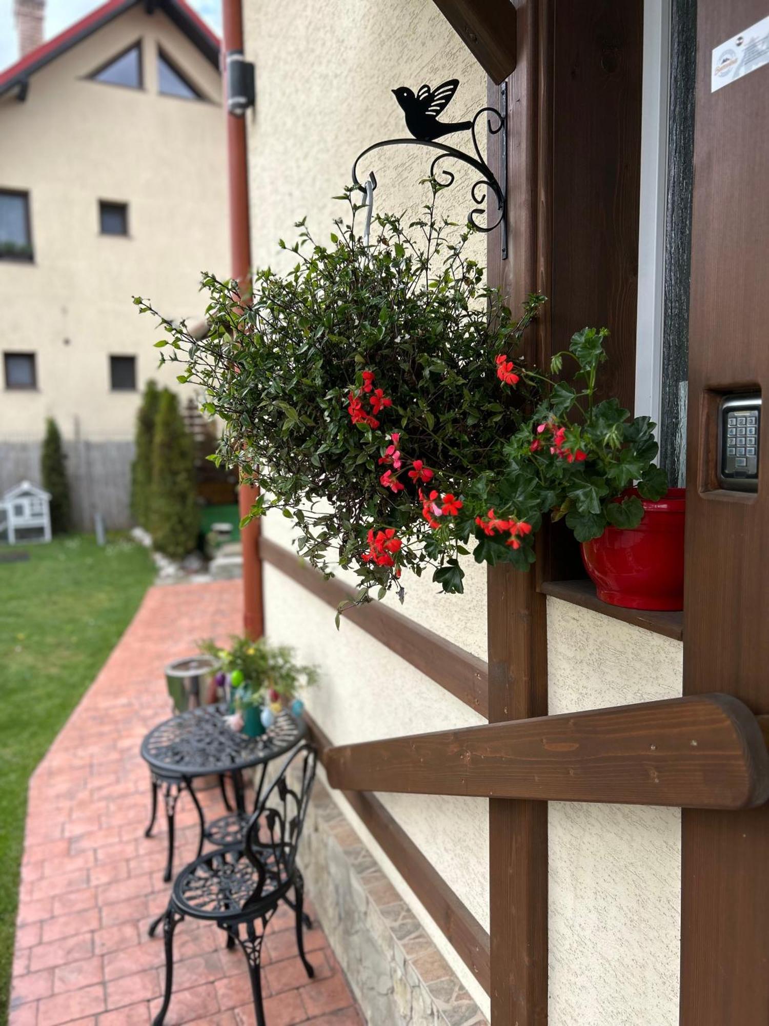Residence Rooms Bucovina Câmpulung Moldovenesc Eksteriør bilde